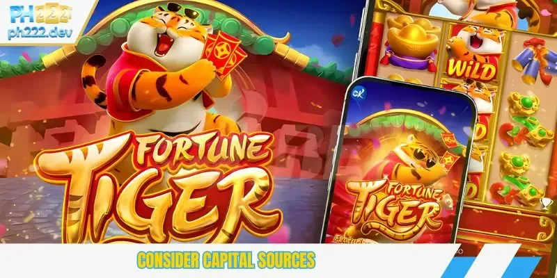 Consider capital sources